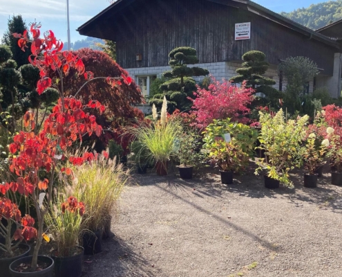 245311480_213086887556434_6986846013437599568_n