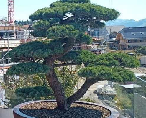 87a1fea6-4814-4943-b5d4-b7c9c8b08789_562_71_287